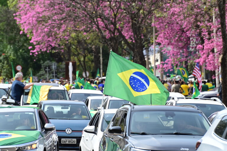 Manifestação Reaja, Brasil